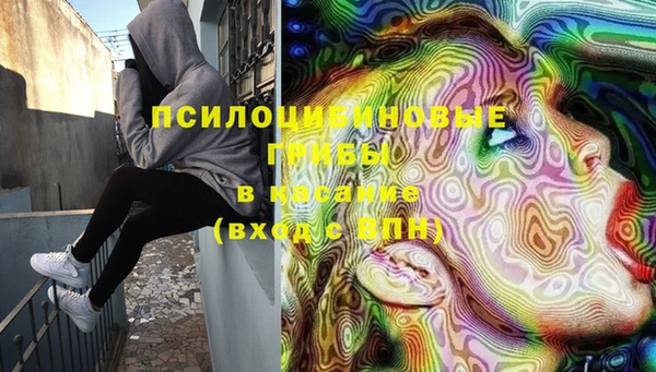 дурь Кулебаки