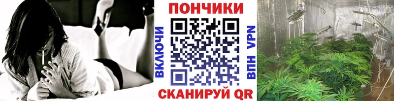 ОМГ ОМГ зеркало  даркнет сайт  Покров  Марихуана сатива 